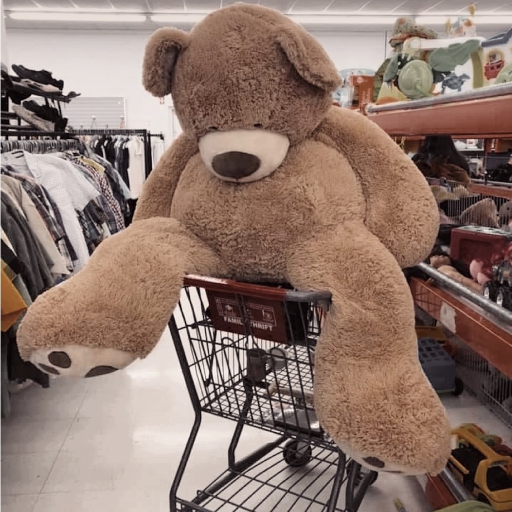 Meet your Posher, Riley